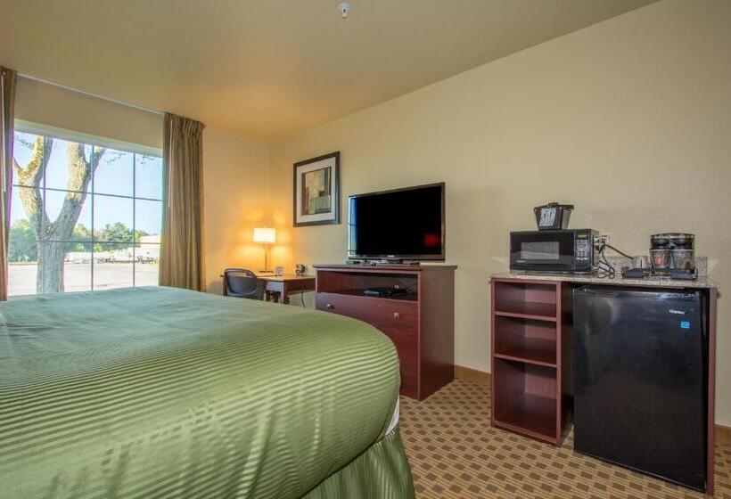 장애인을 위한 킹사이즈 침대 스탠다드 룸, Cobblestone Inn & Suites  Linton