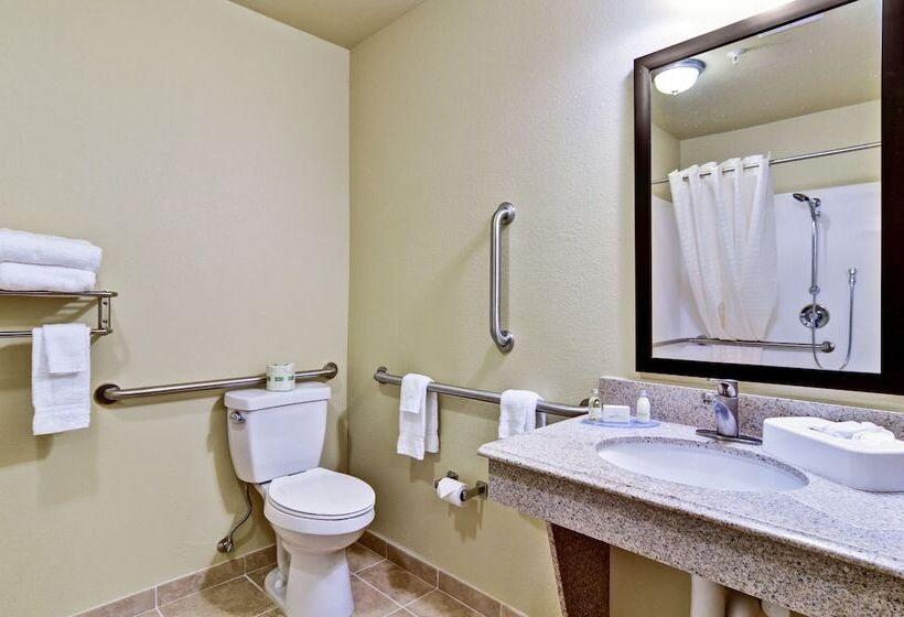 غرفة قياسية سرير كينج لذوى الإحتياجات الخاصة, Cobblestone Inn & Suites  Linton