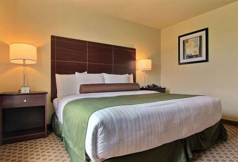 장애인을 위한 킹사이즈 침대 스탠다드 룸, Cobblestone Inn & Suites  Linton