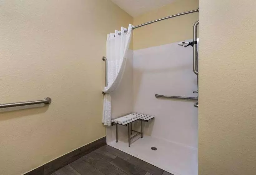 اتاق استاندارد با تخت بزرگ, Comfort Inn Yankton Sd