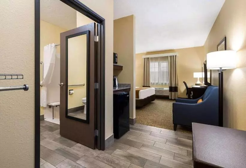 اتاق استاندارد با تخت بزرگ, Comfort Inn Yankton Sd
