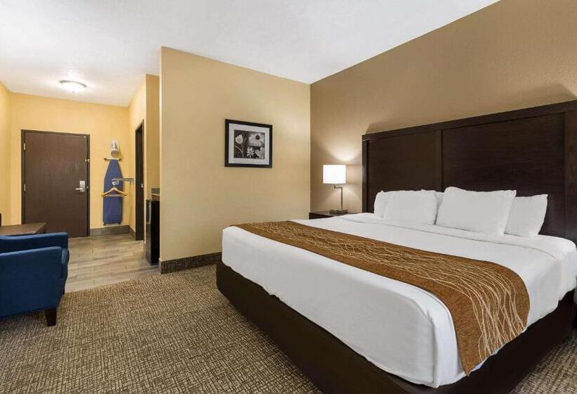 غرفة قياسية سرير كينج, Comfort Inn Yankton Sd