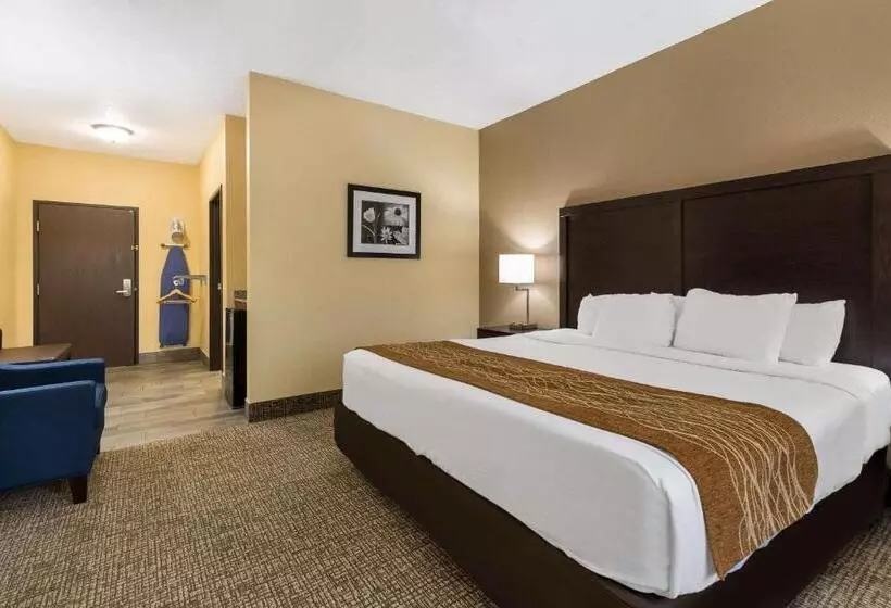 اتاق استاندارد با تخت بزرگ, Comfort Inn Yankton Sd