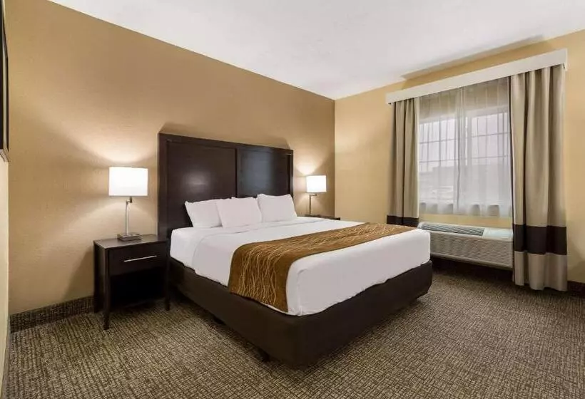 اتاق استاندارد با تخت بزرگ, Comfort Inn Yankton Sd
