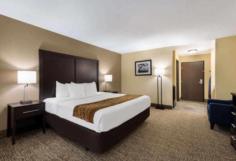 اتاق استاندارد با تخت بزرگ, Comfort Inn Yankton Sd