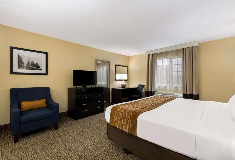 غرفة قياسية سرير كينج, Comfort Inn Yankton Sd
