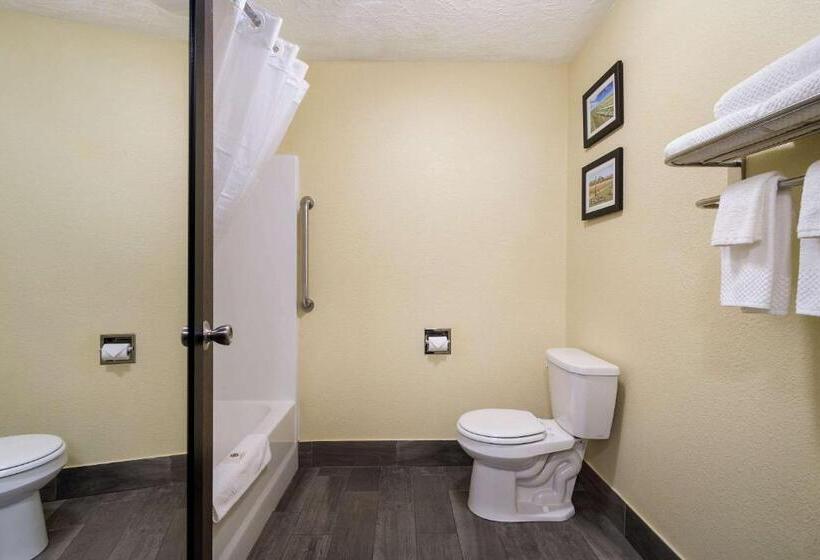 اتاق استاندارد با 2 تخت دوبل, Comfort Inn Yankton Sd