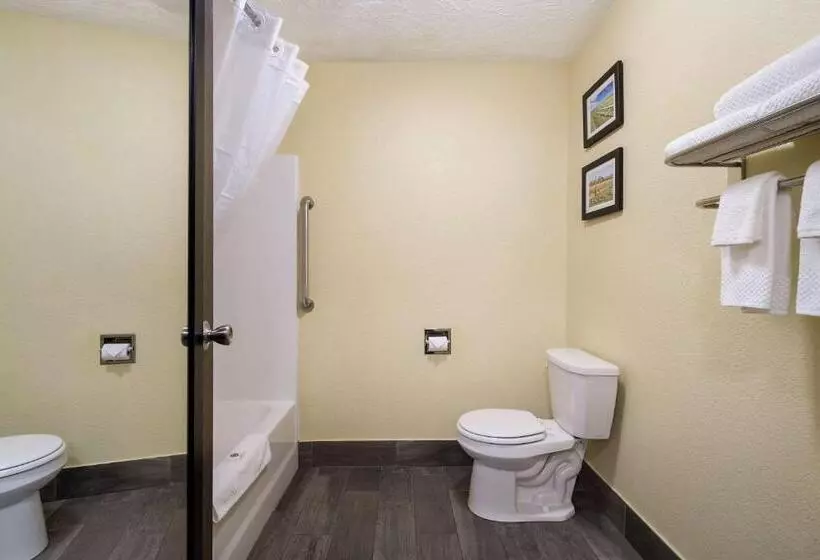 اتاق استاندارد با 2 تخت دوبل, Comfort Inn Yankton Sd