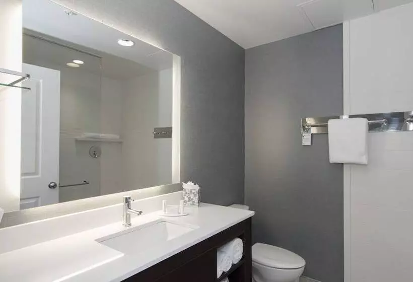 Sviitti, Residence Inn Raleigh Durham Airport/brier Creek