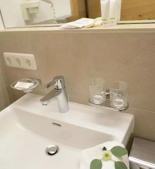 コンフォートルーム, Quality Hosts Arlberg Hotel Garni Mössmer