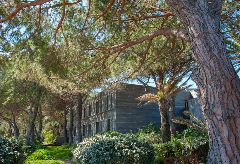 اتاق استاندارد, Hôtel & Lodges Moby Dick