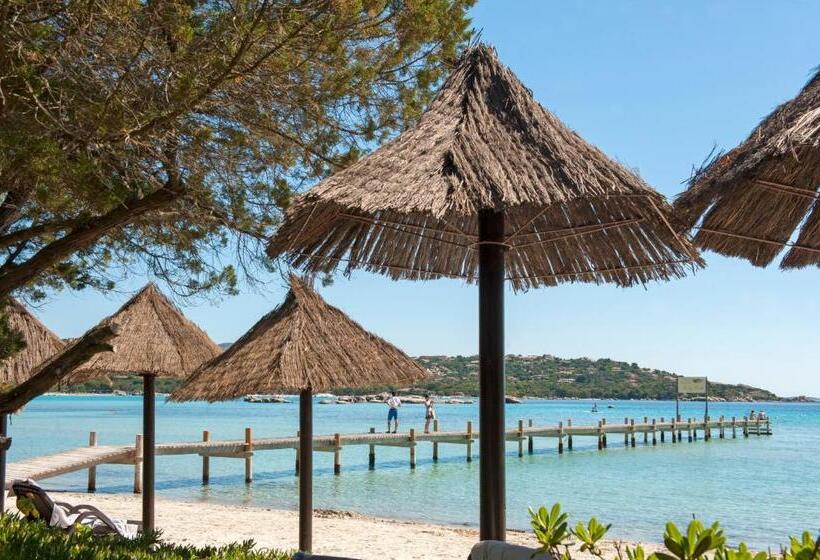 اتاق سوپریور با چشمانداز دریا, Hôtel & Lodges Moby Dick