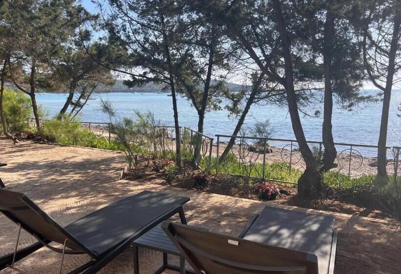 خانه 1 خوابه, Hôtel & Lodges Moby Dick