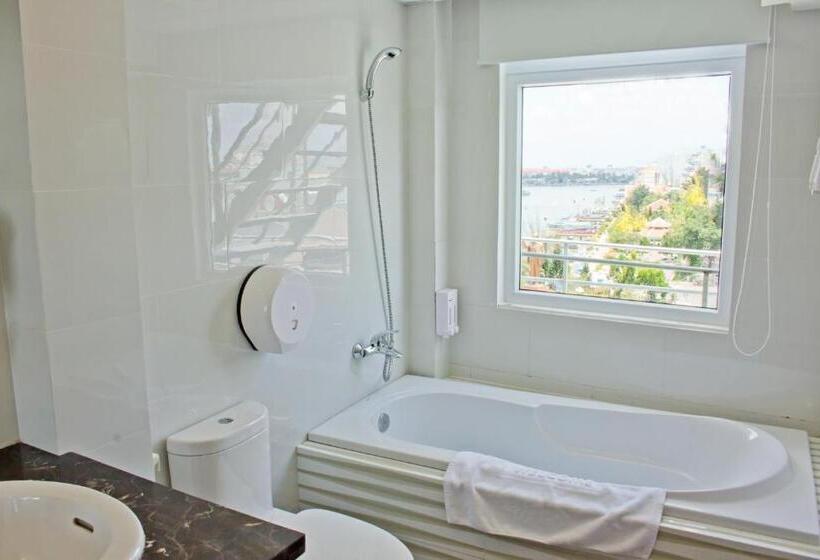 اتاق لوکس خانوادگی, International