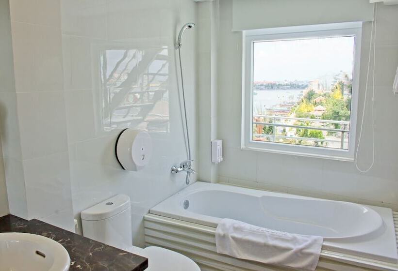 اتاق سوپریور, International