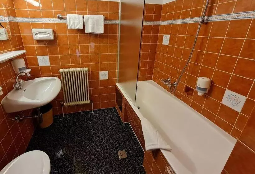 Standard Yhden Hengen Huone, Kirchbichlhof