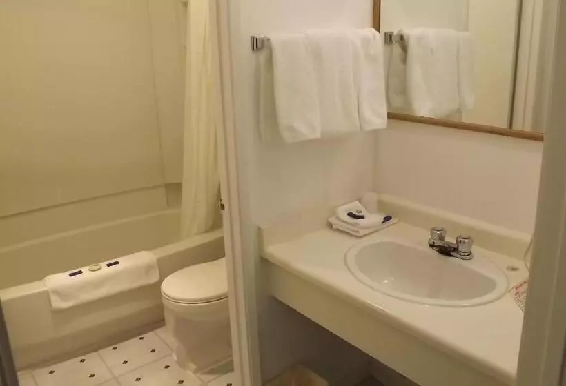 スタンダードシングルルーム, Canadas Best Value Inn Whitecourt