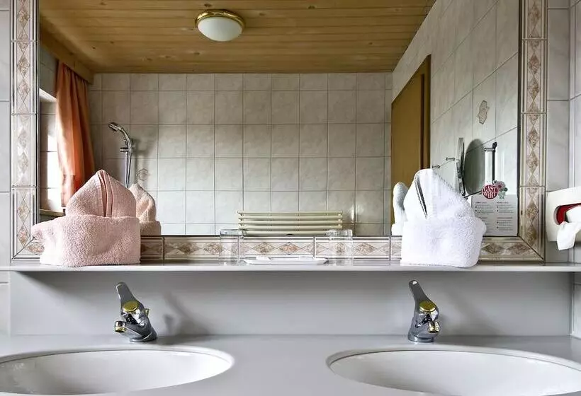 デラックスルーム, Quality Hosts Arlberg Hotel Garni Mössmer