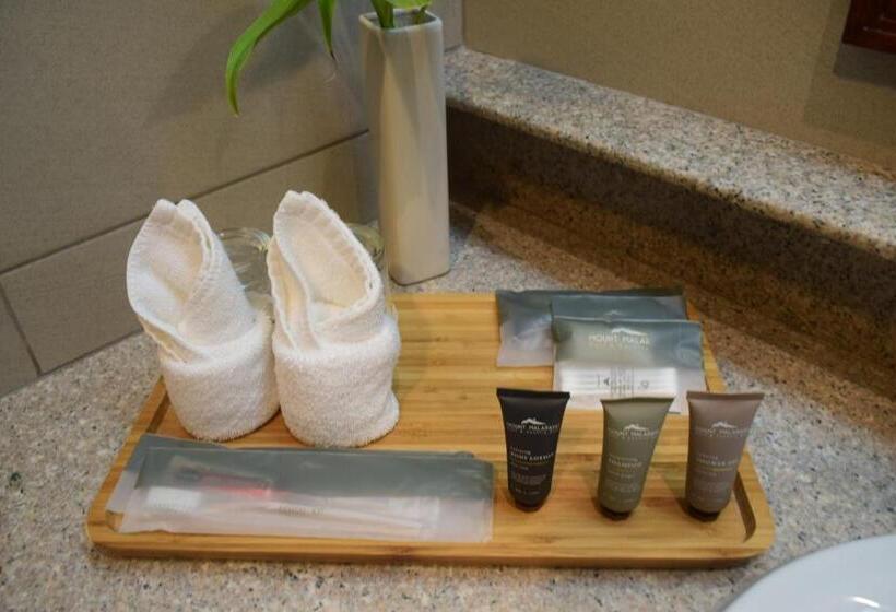 חדר דלוקס נוף לאגם, The Suites At Mount Malarayat