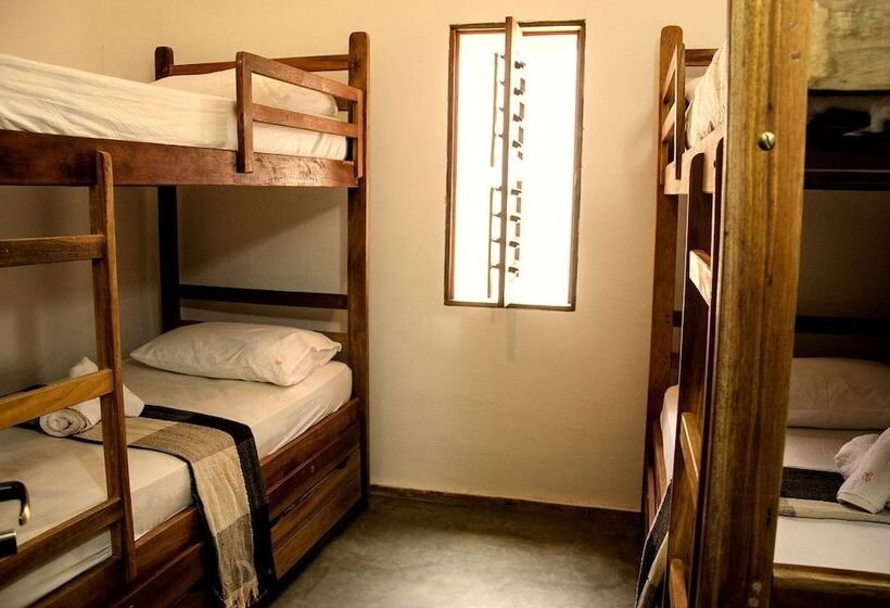 공동 객실, Villa Chic Hostel Pousada