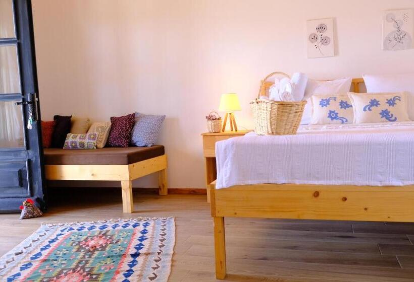 اتاق استاندارد, Milo Cunda