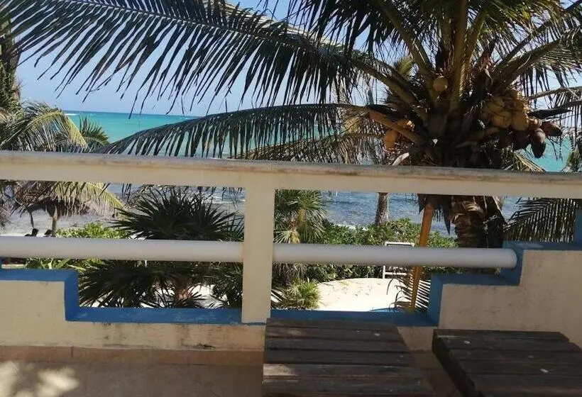キングサイズベッドのスイートルーム, Casa Cenote
