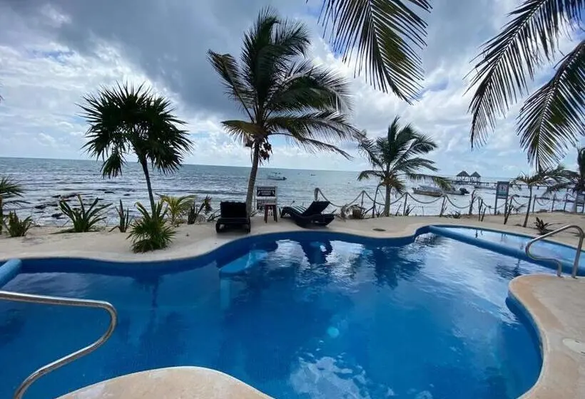 キングサイズベッドのスイートルーム, Casa Cenote