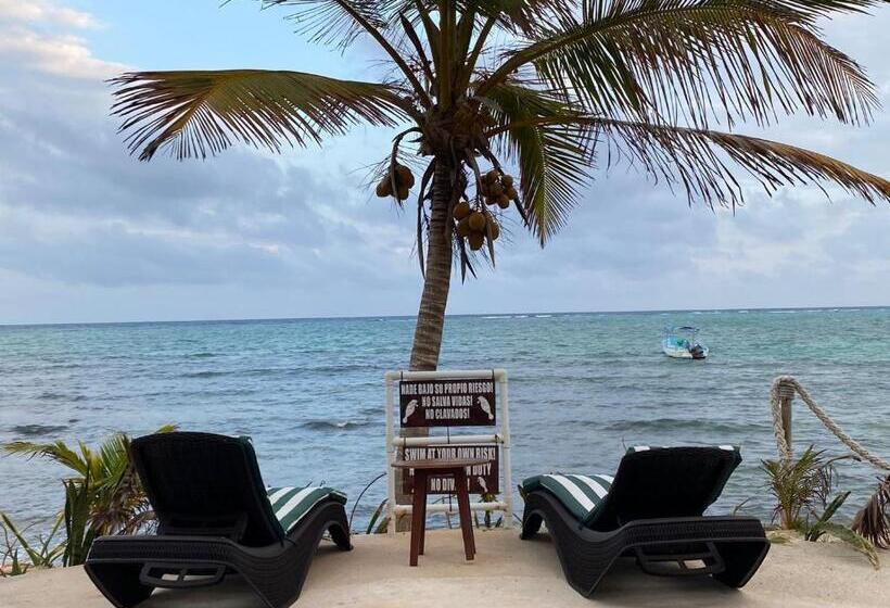 Номер Стандарт Вид на Море, Casa Cenote