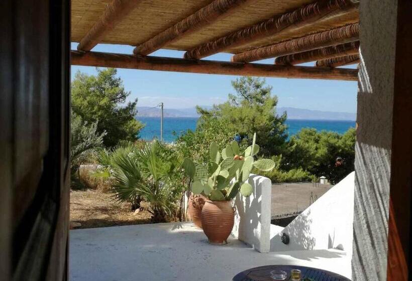 חדר סטודיו סטנדרד, Agistri Apartments