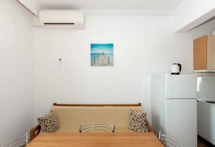 1ベッドルームアパートメント, Karayiannis