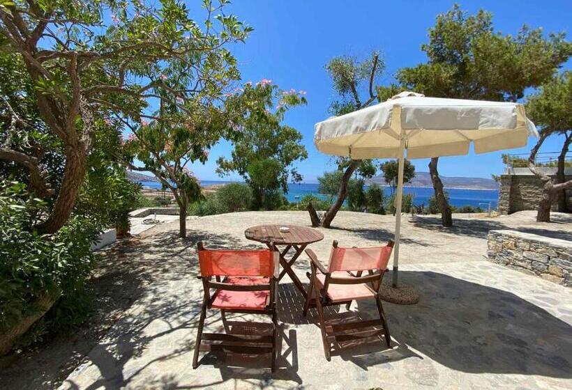 스탠다드 룸 바다 전망, Archipelagos Boutique