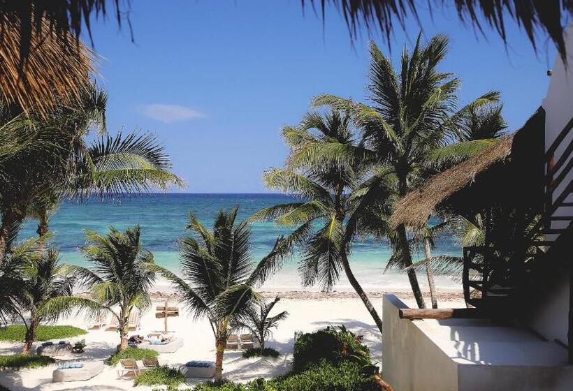 اتاق استاندارد, Cabanas Tulum  Beach Hotel & Spa