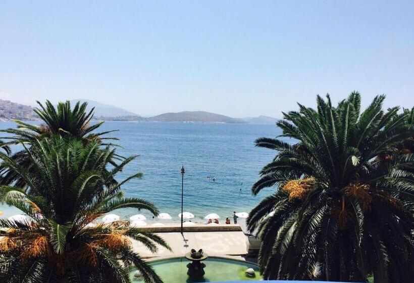 غرفة قياسية مطلّة علي البحر مزوَّدة بشُرفة, Ari