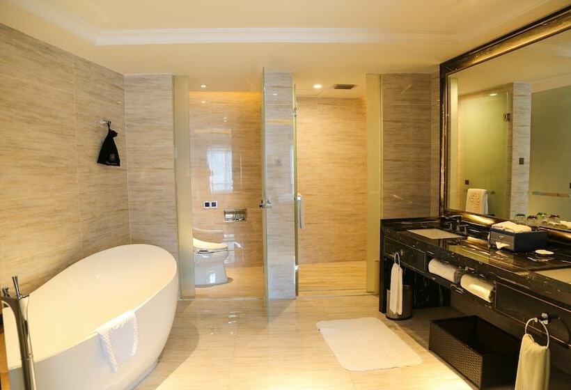 سوییت لوکس, Shenzhen Dayhello International