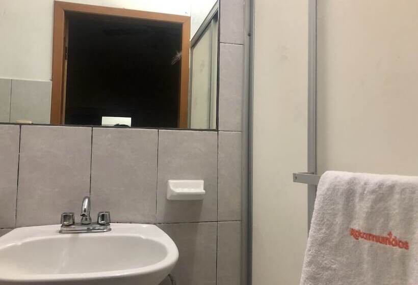 חדר סטנדרט לארבעה, Posada Los Olivos Los Mochis