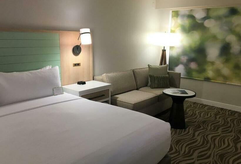 带大床的标准间, Wyndham Garden Lake Buena Vista Disney Springs® Resort Area