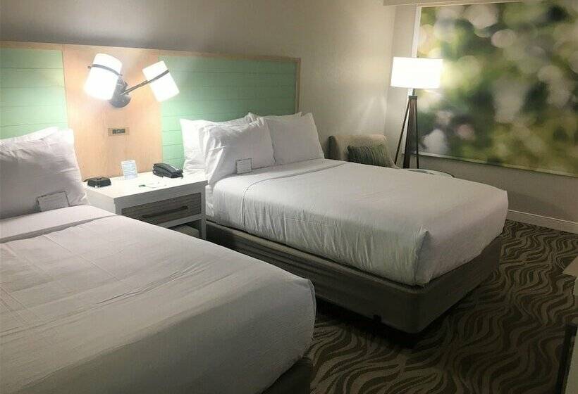 带2个双人床的标准工作室, Wyndham Garden Lake Buena Vista Disney Springs® Resort Area