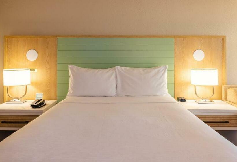 Номер Стандарт Кровать Кинг Адаптированный для Инвалидов, Wyndham Garden Lake Buena Vista Disney Springs® Resort Area