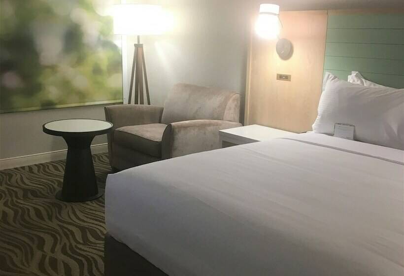 标准间带双人床, Wyndham Garden Lake Buena Vista Disney Springs® Resort Area