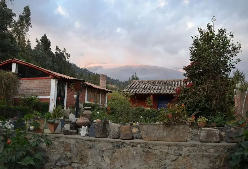 اتاق استاندارد یک نفره, La Casita De Mi Abuela