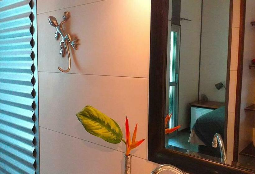 اتاق استاندارد با تراس, Lézard Home Bed And Breakfast