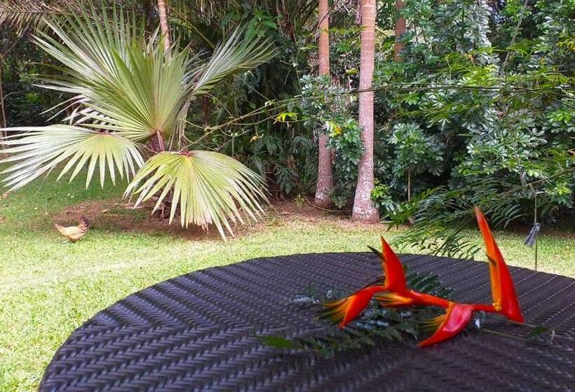 اتاق استاندارد با تراس, Lézard Home Bed And Breakfast