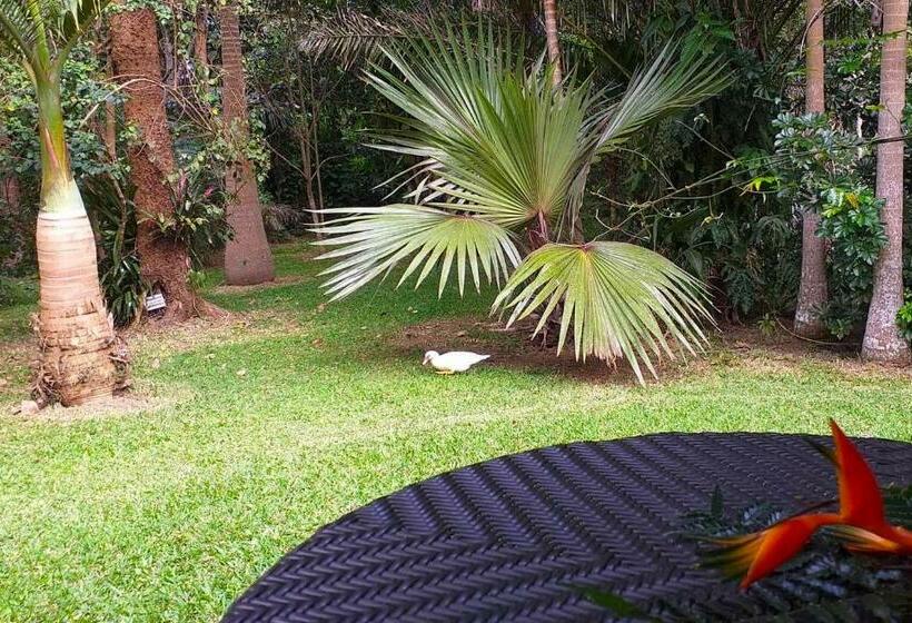 اتاق استاندارد با تراس, Lézard Home Bed And Breakfast