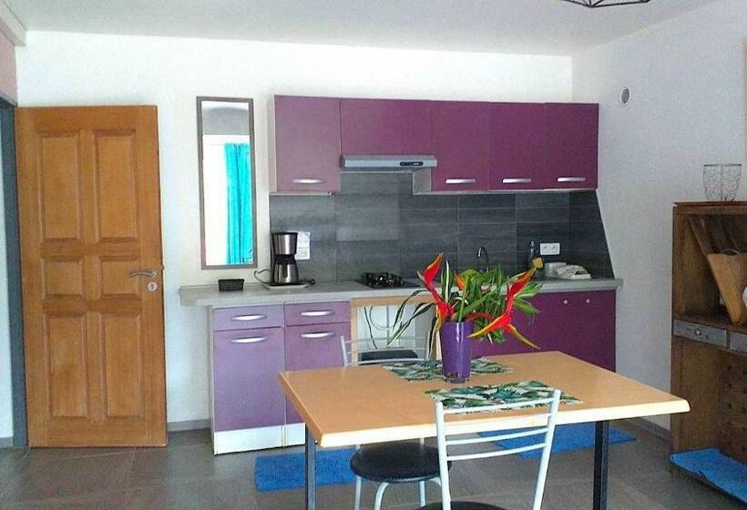 آپارتمان 1 خوابه همکف, Lézard Home Bed And Breakfast