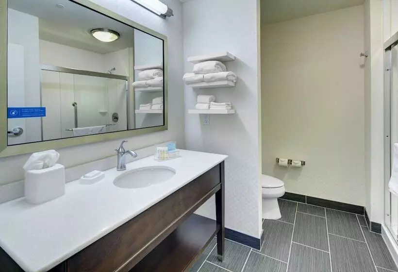 ダブルベッドのスタンダードスタジオ, Hampton Inn & Suites Roanokedowntown
