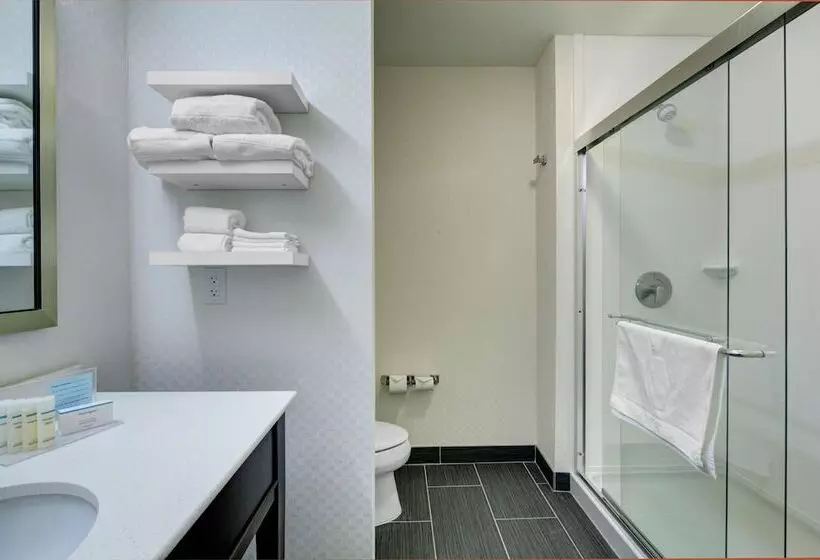 ダブルベッドのスタンダードスタジオ, Hampton Inn & Suites Roanokedowntown