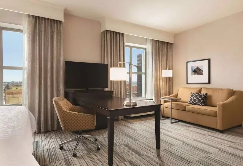 ダブルベッドのスタンダードスタジオ, Hampton Inn & Suites Roanokedowntown