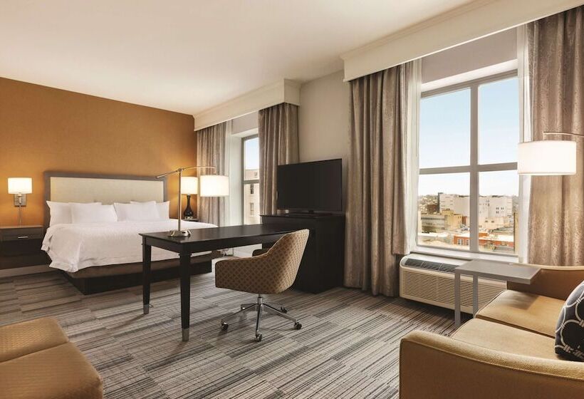 إستوديو قياسى سرير مزدوج, Hampton Inn & Suites Roanokedowntown