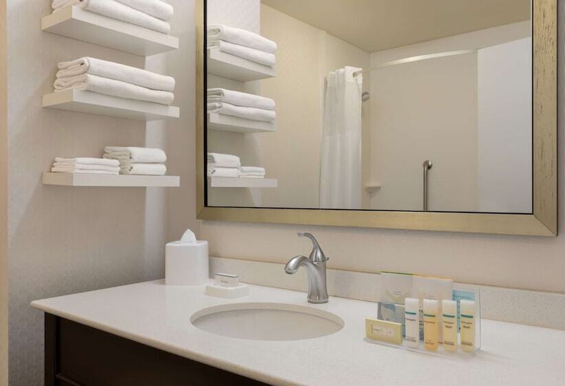 غرفه قياسيه سريرين مزدوجين, Hampton Inn & Suites Roanokedowntown