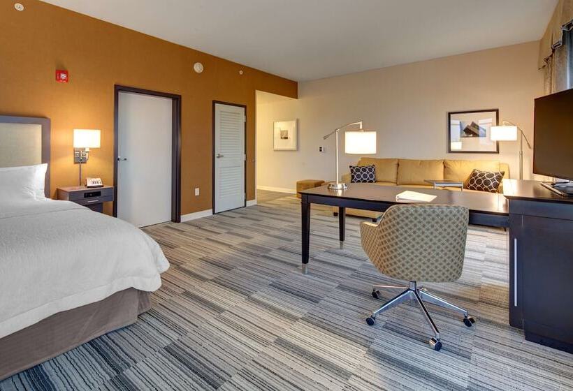 إستوديو قياسى سرير مزدوج, Hampton Inn & Suites Roanokedowntown